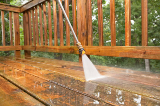 Animal Enclosure Cleaning in Shattuck, OK